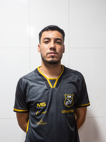 Luis Gustavo