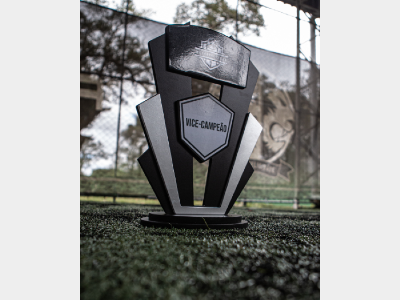 Campeonato Metropolitano 2025
